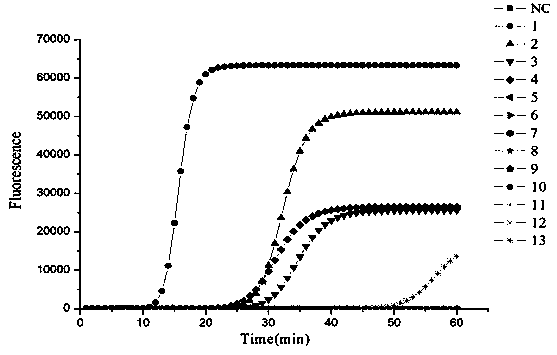 Primers for detecting bacillus subtilis through loop-mediated isothermal amplification method and application thereof