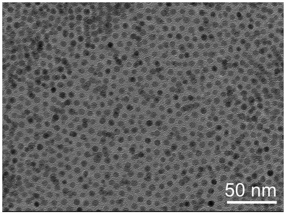 Preparation and application of same-level rare earth luminescent probe based on luminescence lifetime change