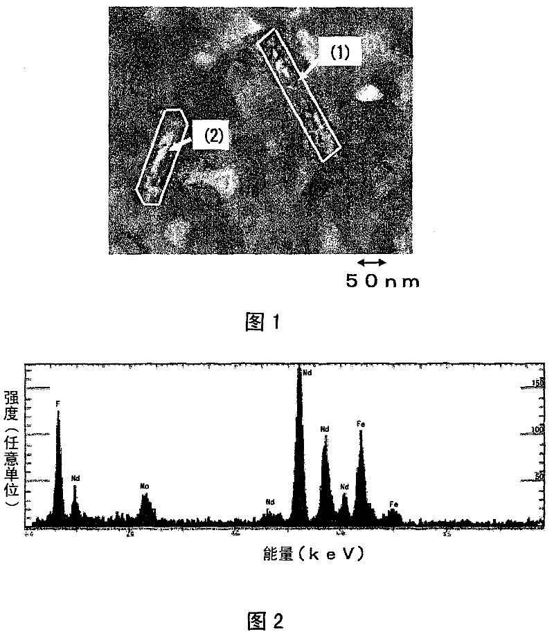Rare earth magnet and manufacturing method thereof