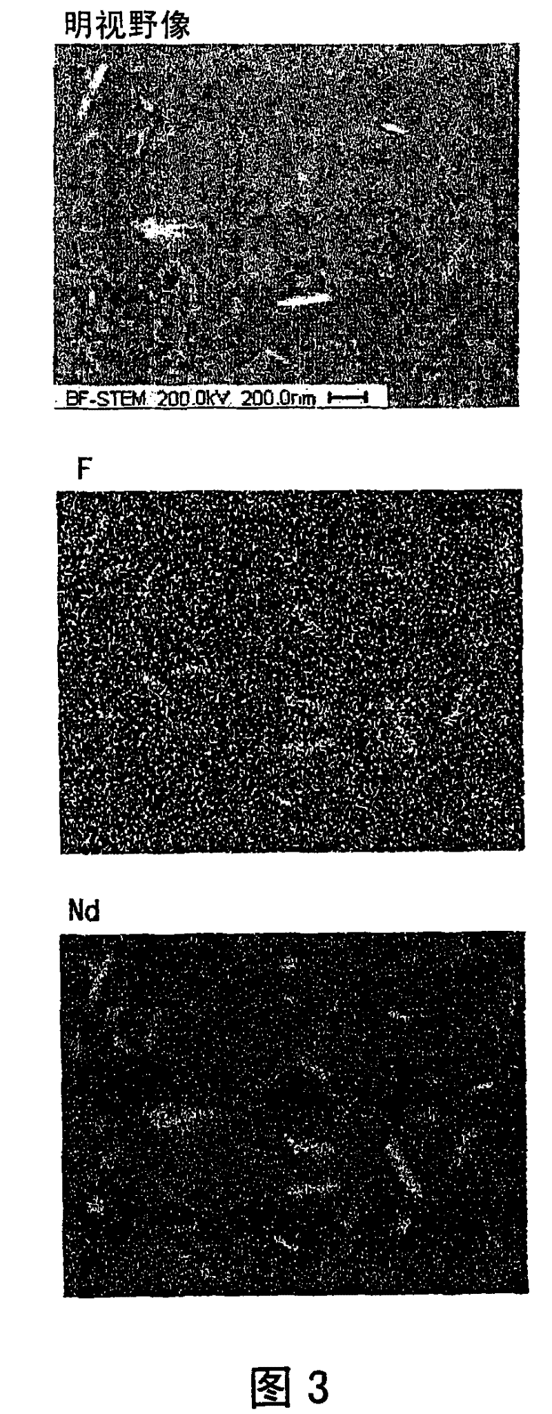 Rare earth magnet and manufacturing method thereof