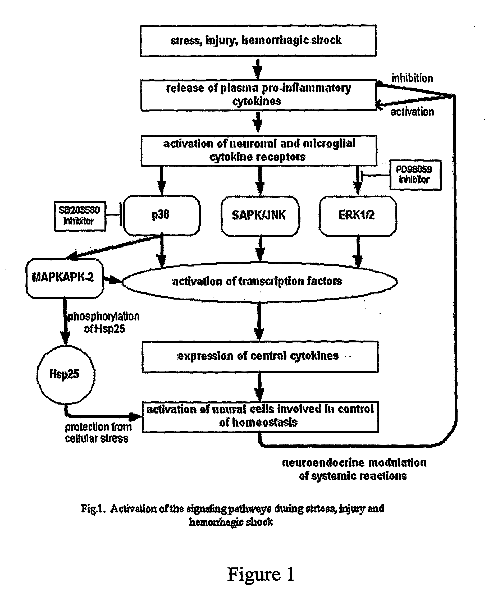 Genetic Screen for Interaction Interface Mapping