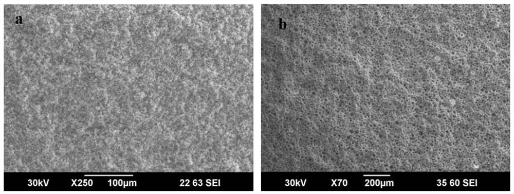 A kind of silicon nitride gradient porous capillary core for loop heat pipe and its combined coating preparation method