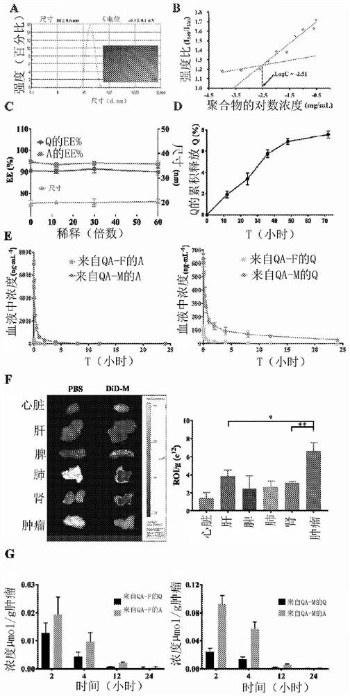 NANO co-delivery of quercetin and alantolactone promotes Anti-tumor response through synergistic immunogenic cell death for microsatellite-stable colorectal cancer