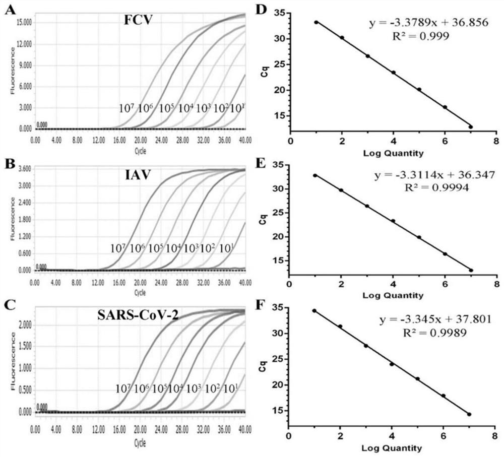 Triple TaqMan fluorescent quantitative PCR detection reagent, kit, detection method and application