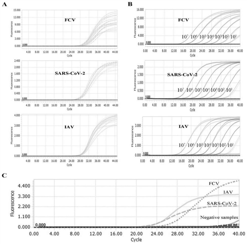 Triple TaqMan fluorescent quantitative PCR detection reagent, kit, detection method and application