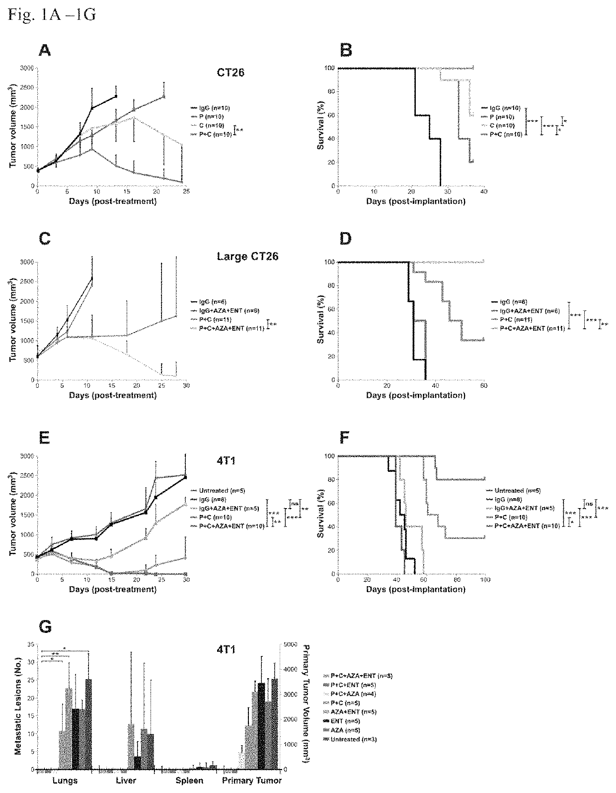 Suppression of myeloid derived suppressor cells and immune checkpoint blockade