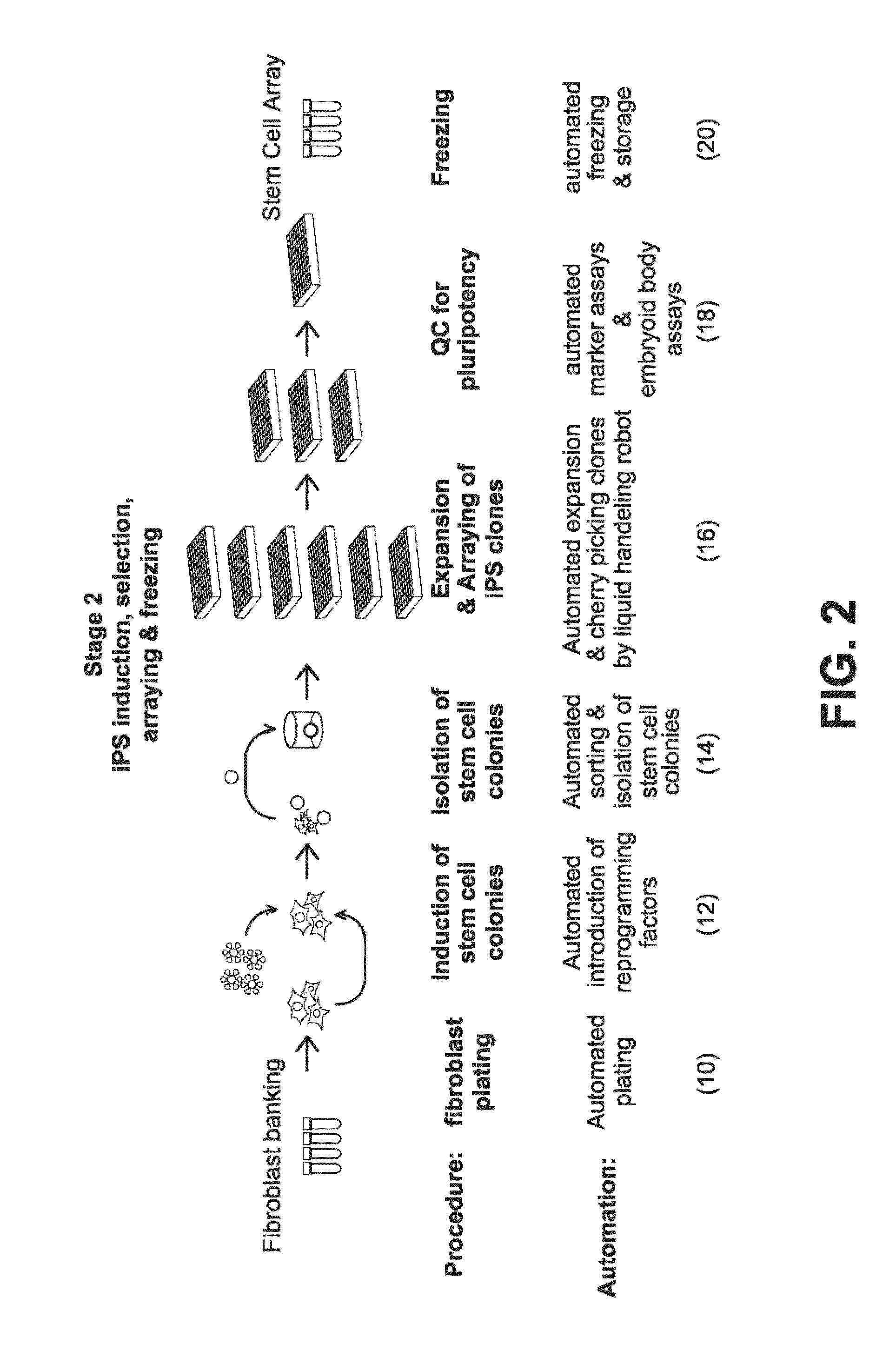 Systems and methods for producing stem cells and differentiated cells