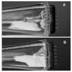 Preparation method of contraceptive microneedle