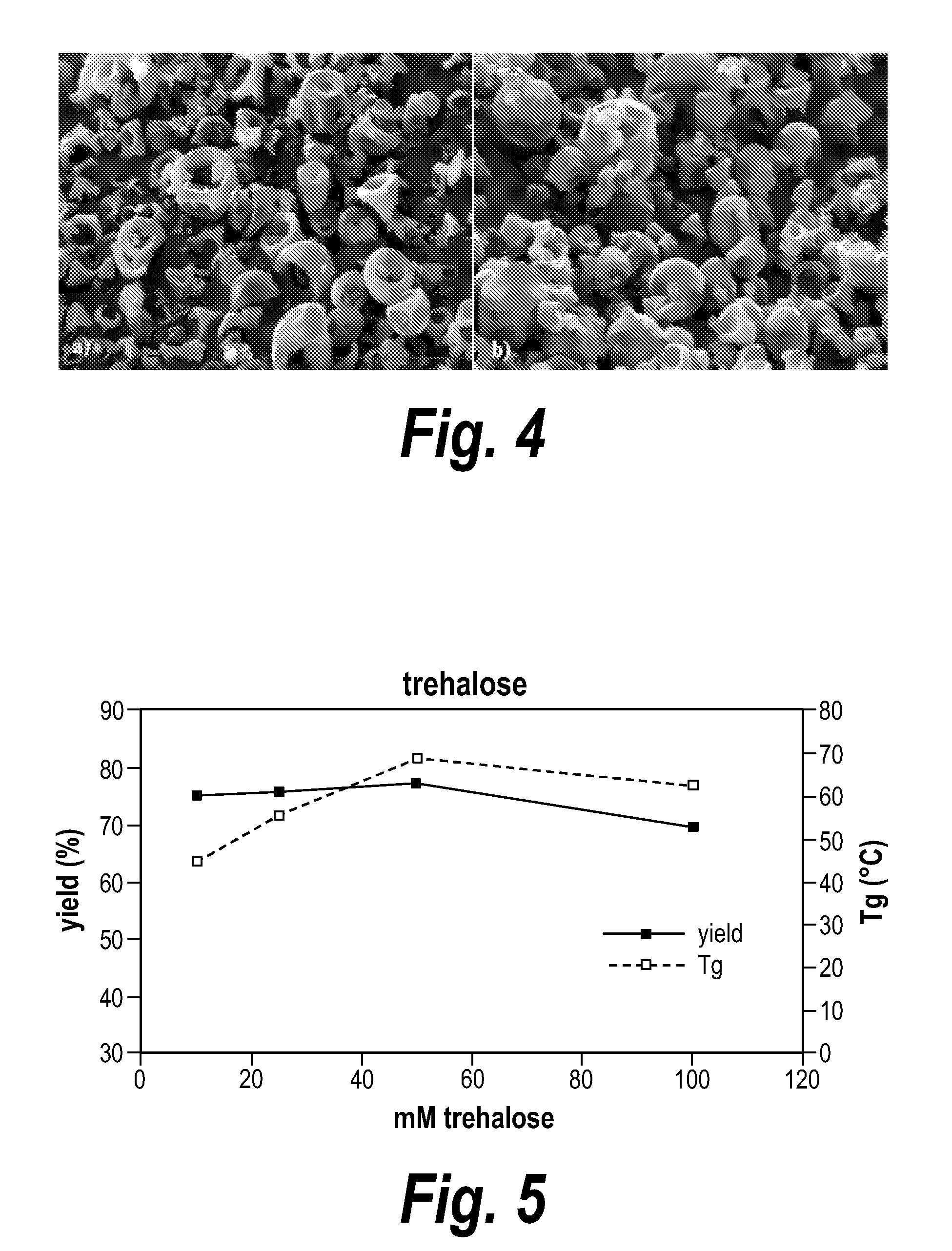 Powdered protein compositions and methods of making same