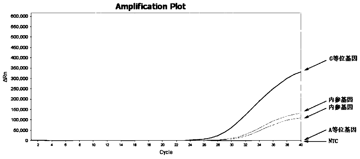 Real-time fluorescence PCR method for detecting rs1800497 site of ANNK1 gene and primer probe combination thereof