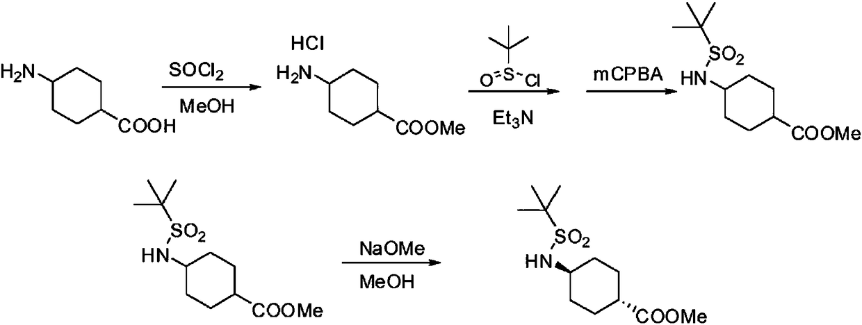 Process for the preparation of trans-4-amino-1-cyclohexanecarboxilic acid and its derivatives