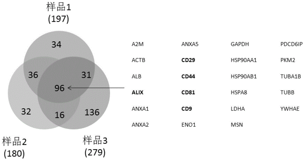 Applications of exosome from mesenchymal stem cells