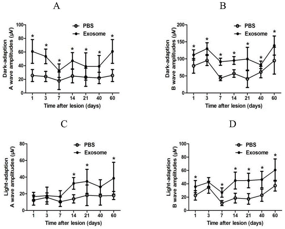 Applications of exosome from mesenchymal stem cells