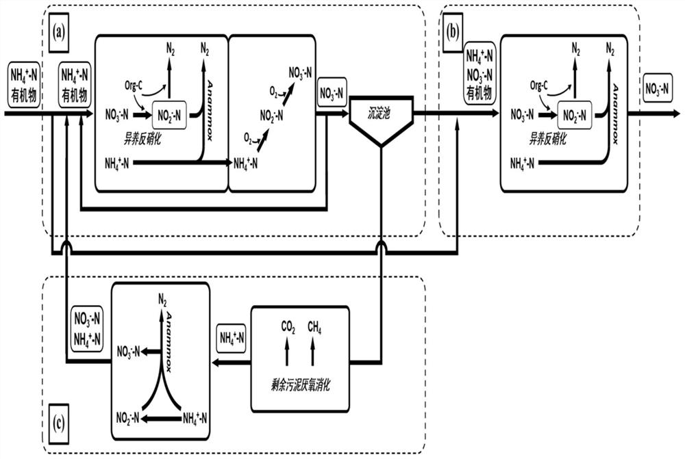 System and method for realizing partial anaerobic ammonia oxidation deep nitrogen and phosphorus removal through biological membrane circulation alternation in mainstream and sidestream regions of urban sewage treatment plant