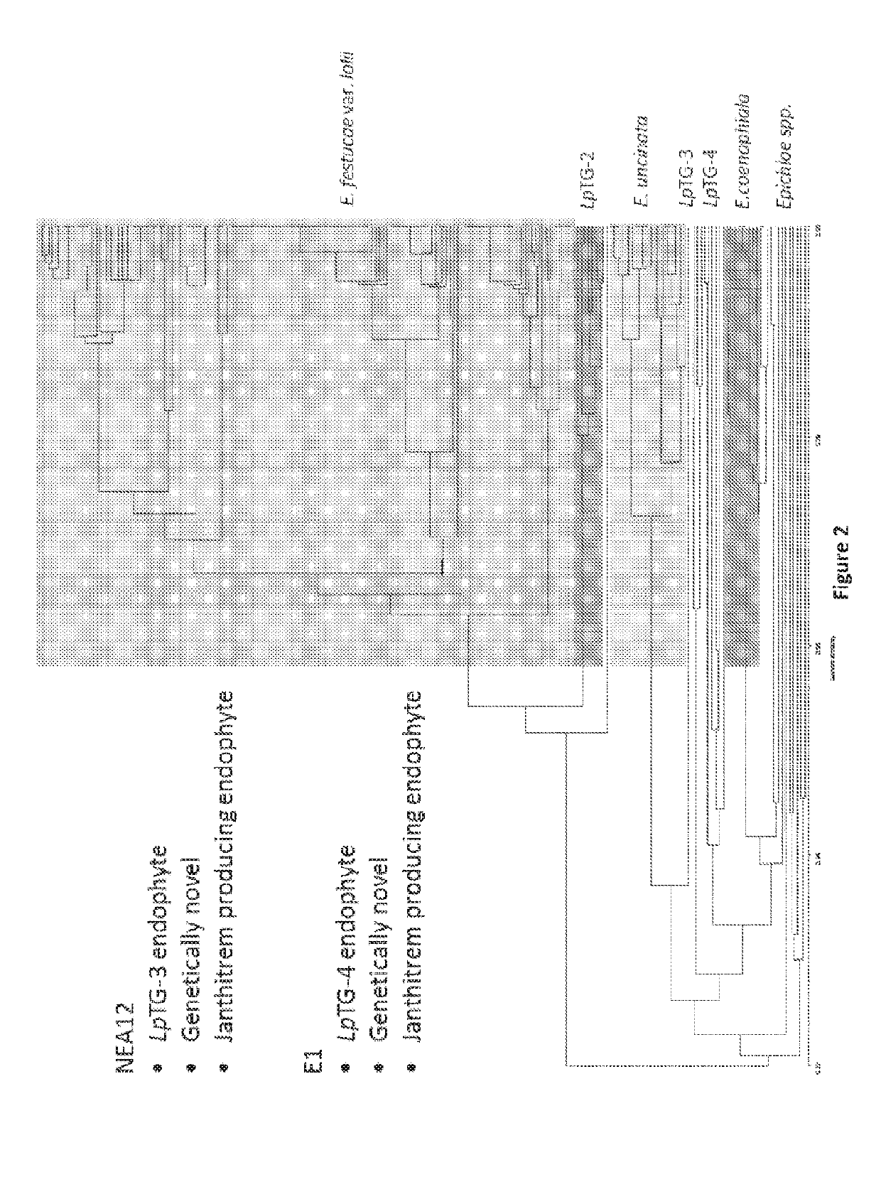 Metabolite Production in Endophytes