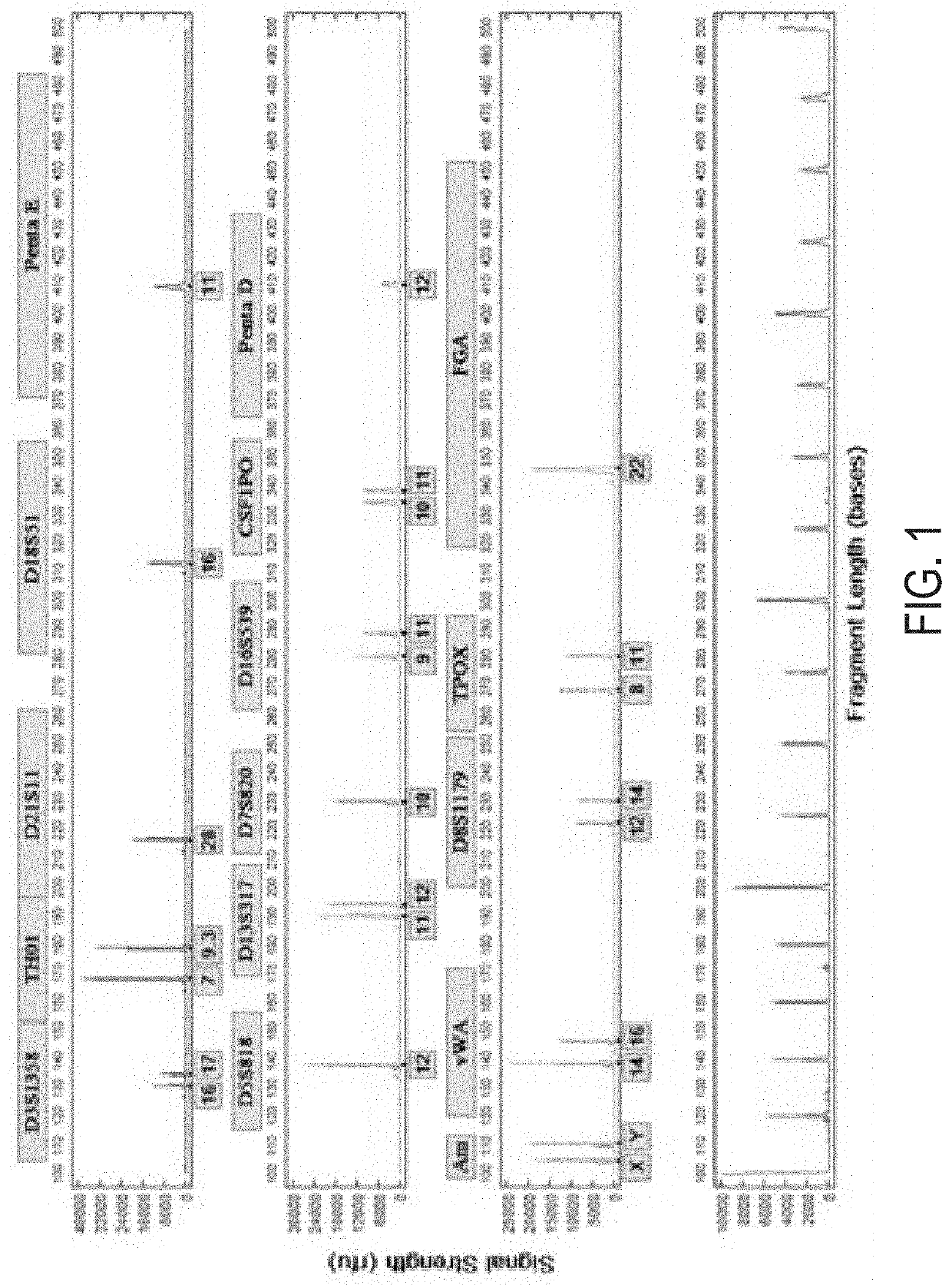 Systems and methods for rapid nucleic acid extraction, purification and analysis from bone and tooth