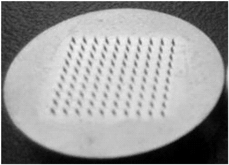 Meningococcal polysaccharide conjugate vaccine soluble microneedle patch and preparation method thereof