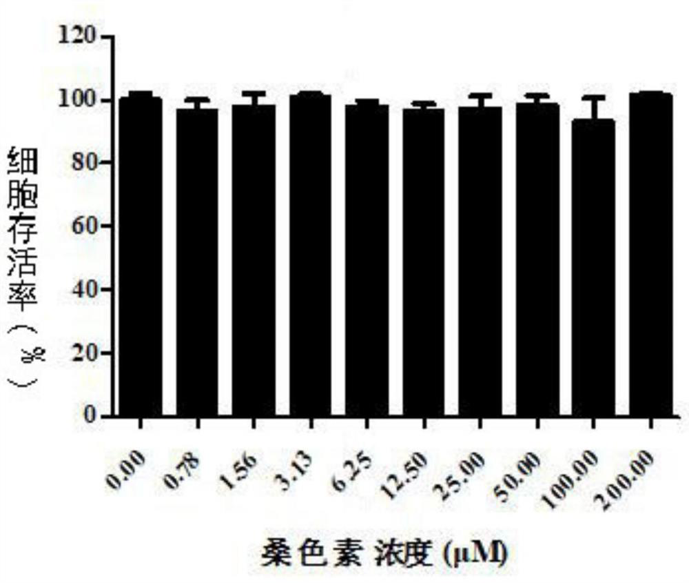 Application of morin and its derivatives in the preparation of anti-Zika virus drugs