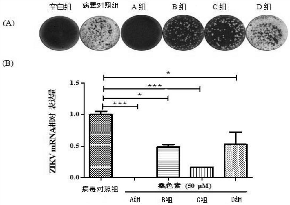 Application of morin and its derivatives in the preparation of anti-Zika virus drugs