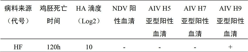 A kind of avian influenza h9n2 subtype virus strain and application thereof