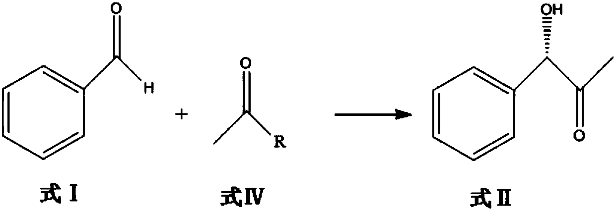 Bio-preparation method for pseudoephedrine