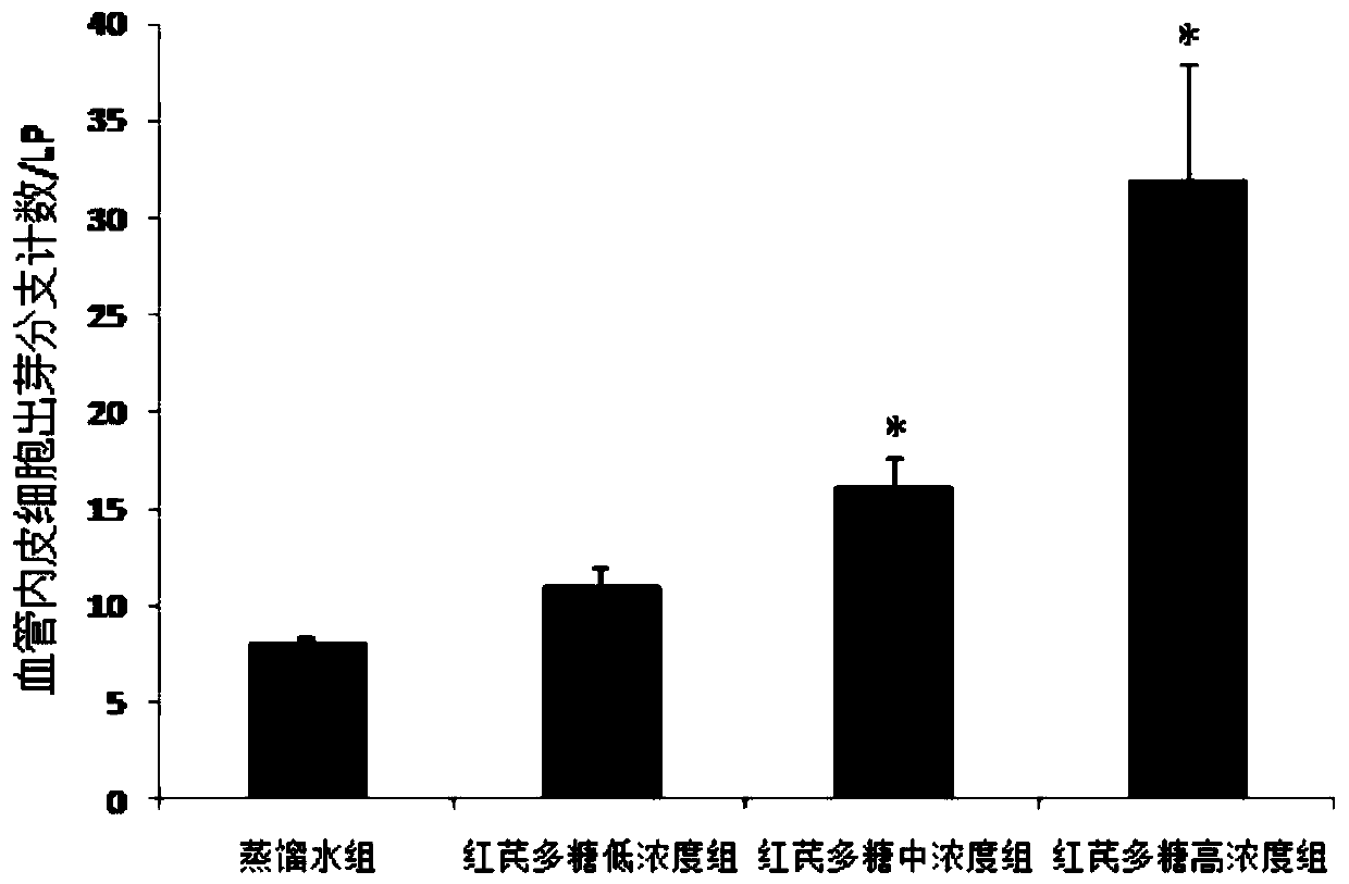 Use of Radix Astragali or Radix Radix Radix Polysaccharides for the Treatment of Ischemic Vascular Diseases