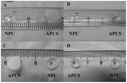 A method for enzymatically and efficiently preparing corneal acellular matrix tissue engineering scaffold