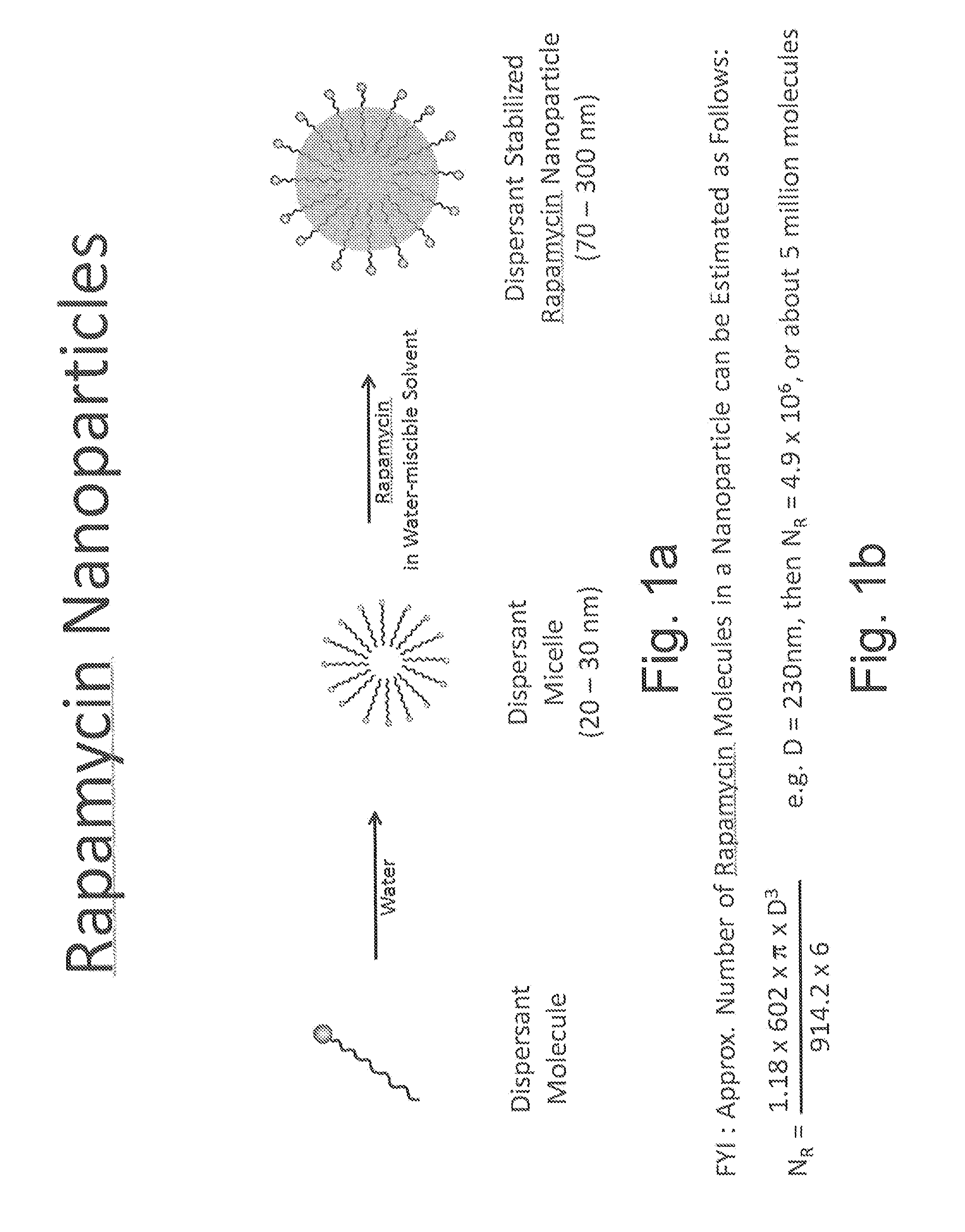 Oral Rapamycin Nanoparticle Preparations