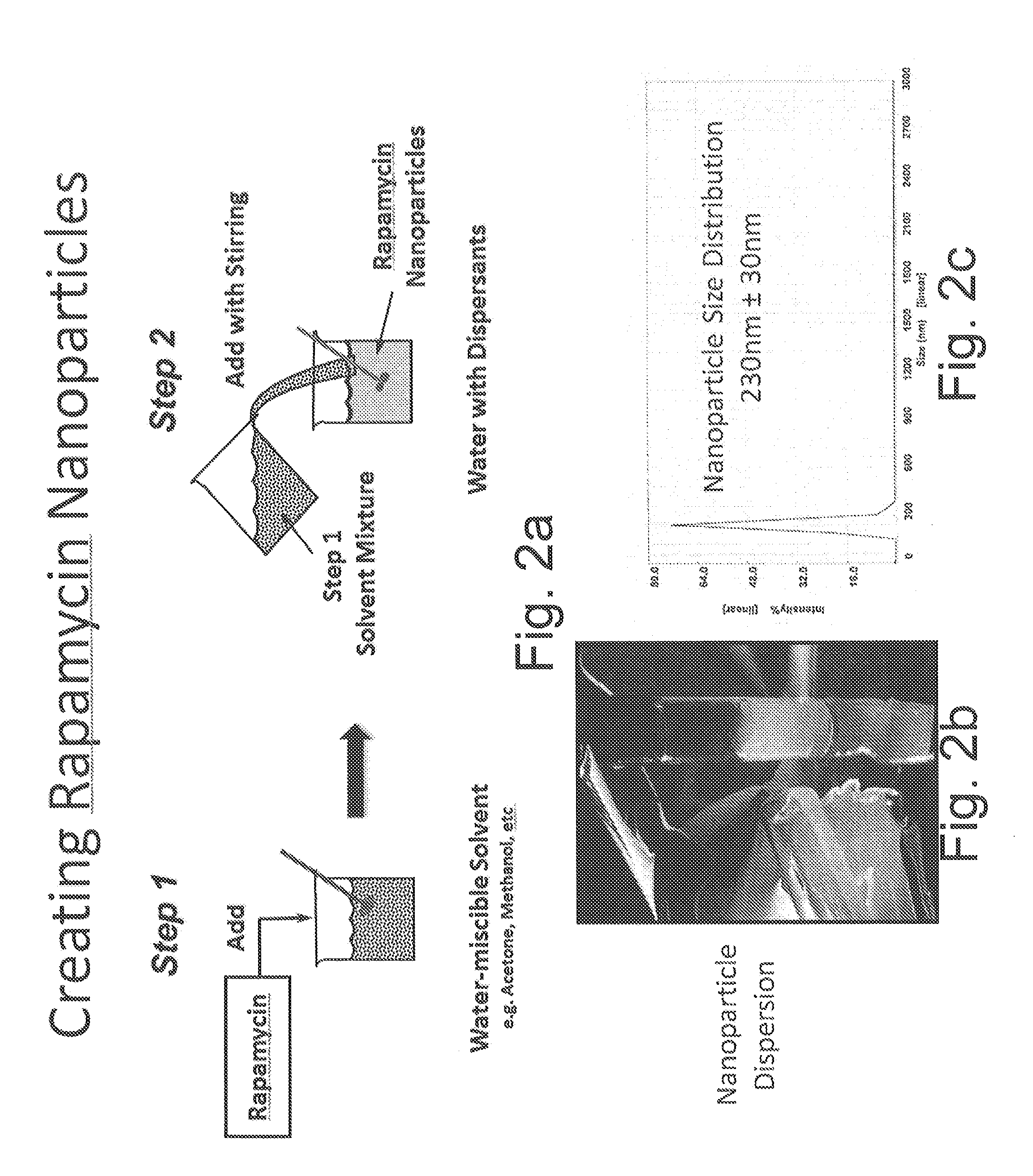 Oral Rapamycin Nanoparticle Preparations