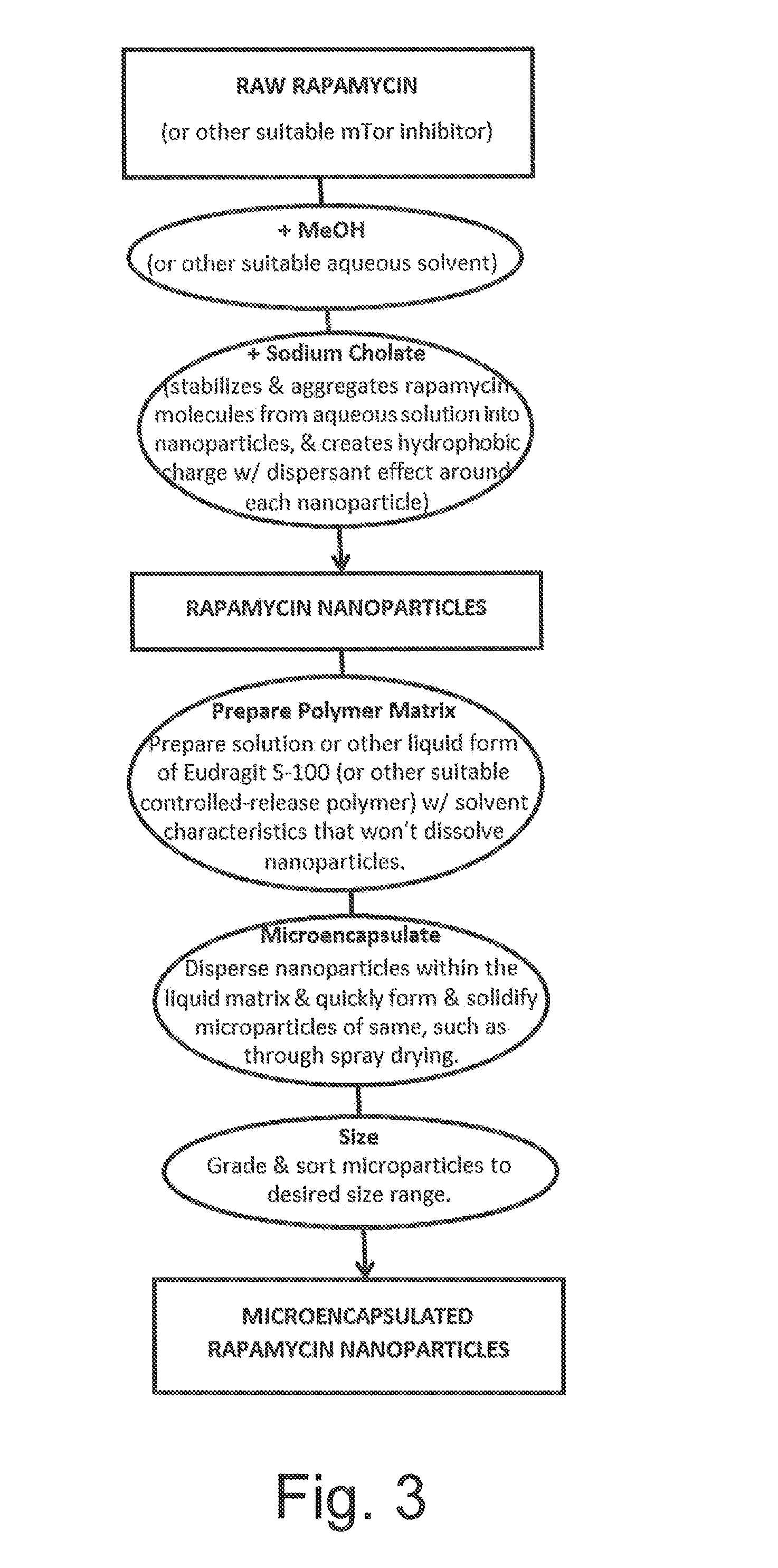 Oral Rapamycin Nanoparticle Preparations