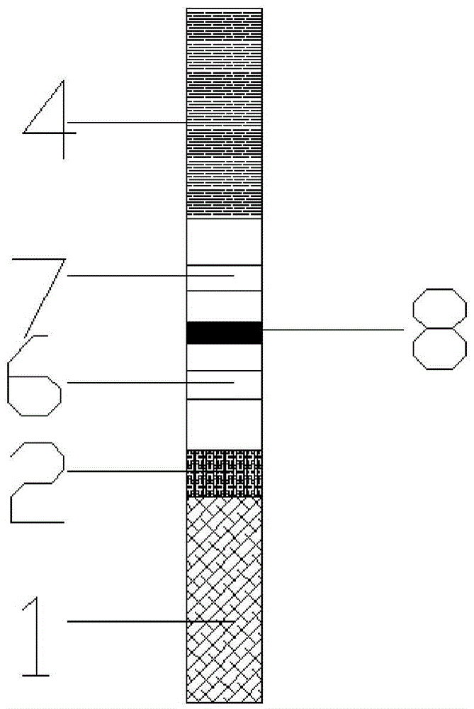 Multi-nucleic-acid chromatography rapid detecting method and application