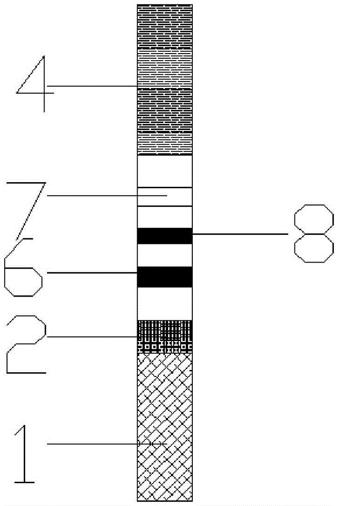 Multi-nucleic-acid chromatography rapid detecting method and application