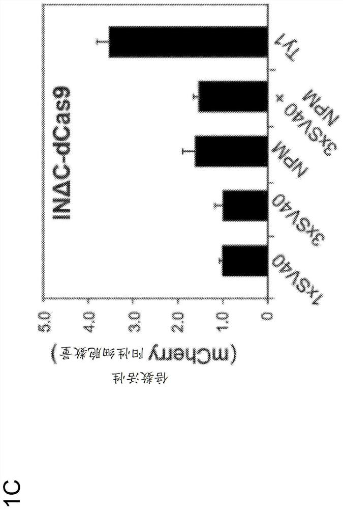 Genome editing by directed non-homologous DNA insertion using a retroviral integrase-cas9 fusion protein