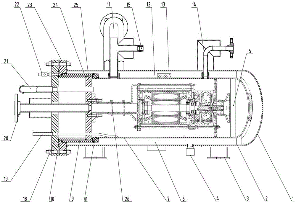 Full vacuum horizontal lng submersible pump pool