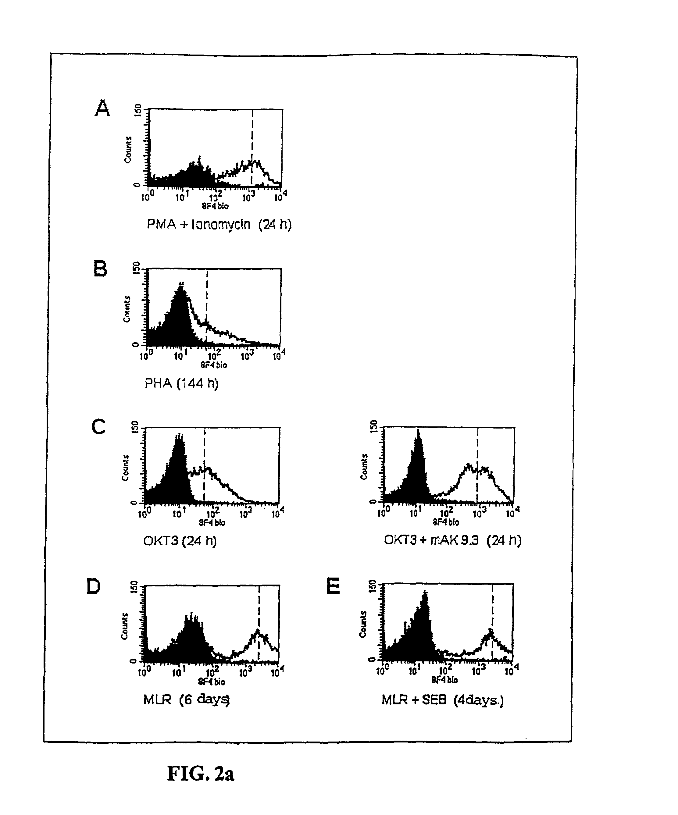 Methods for treatment of asthmatic disorders using a monoclonal antibody to 8F4 polypeptide