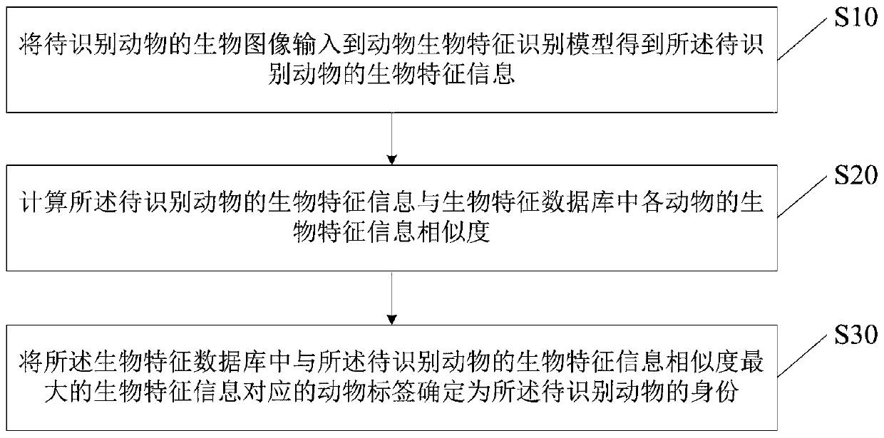 Animal biological feature recognition method and device, computer equipment and storage medium