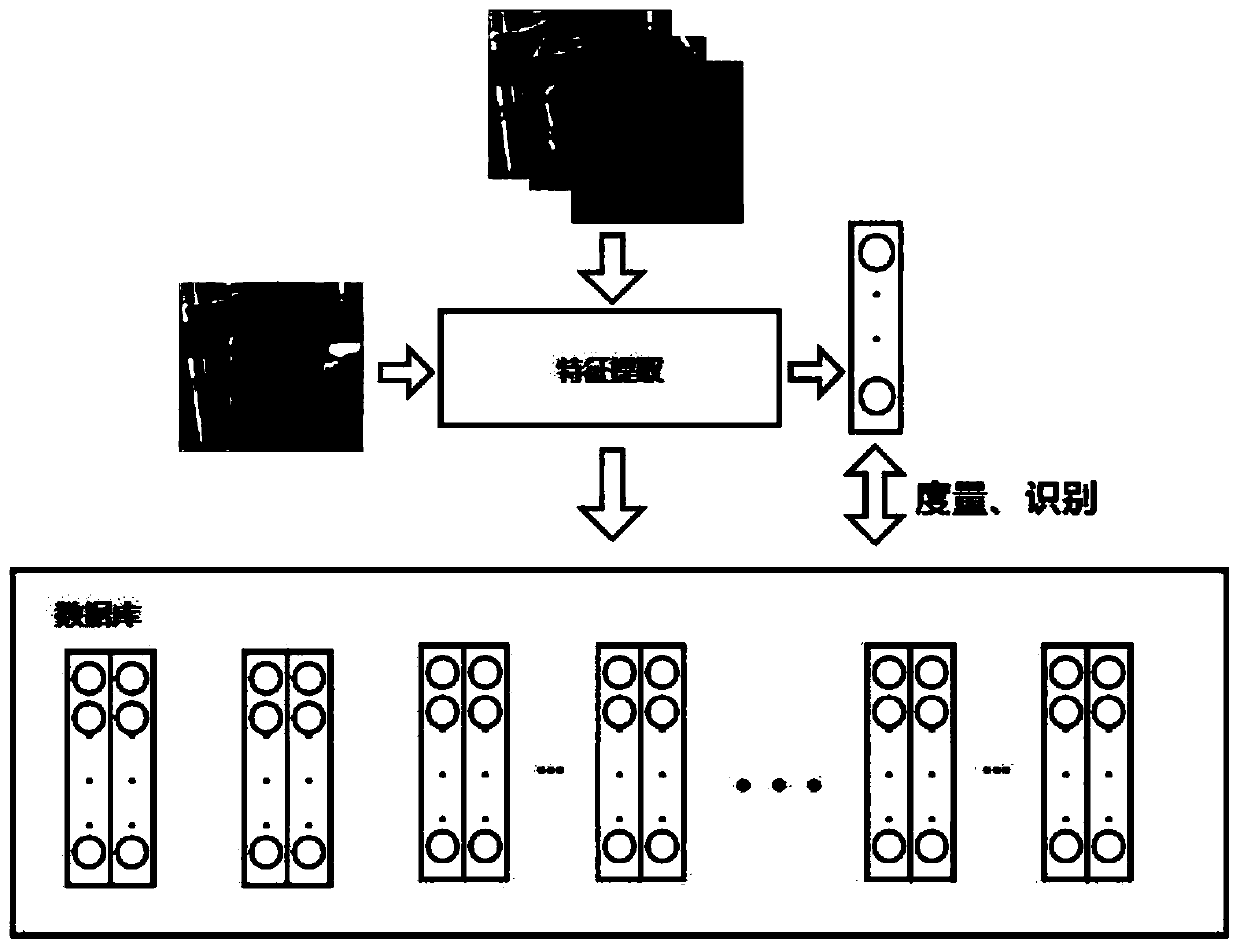 Animal biological feature recognition method and device, computer equipment and storage medium