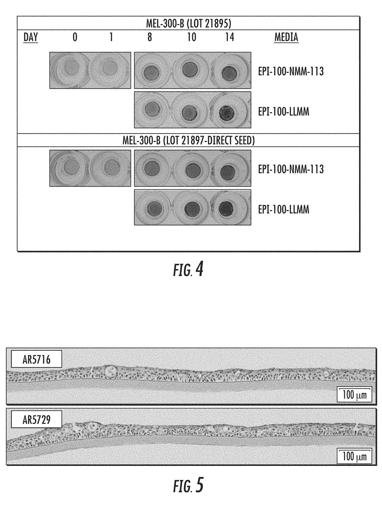 Methods and Kits for Production of Tissue Equivalents from Cryopreserved Cells