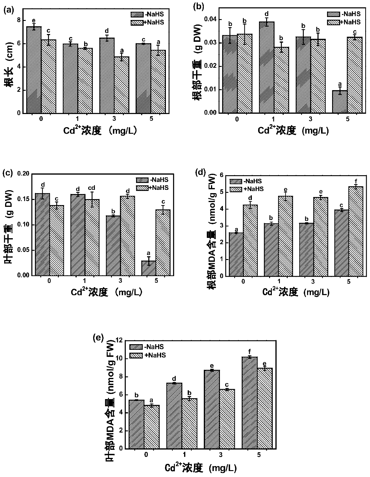 Application of NaHS in stabilizing monosaccharide content in tomato seedling cell walls under cadmium ion stress