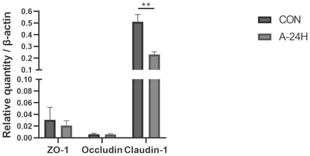 Co-culture method capable of culturing anaerobic strains and pig intestine epithelial cells