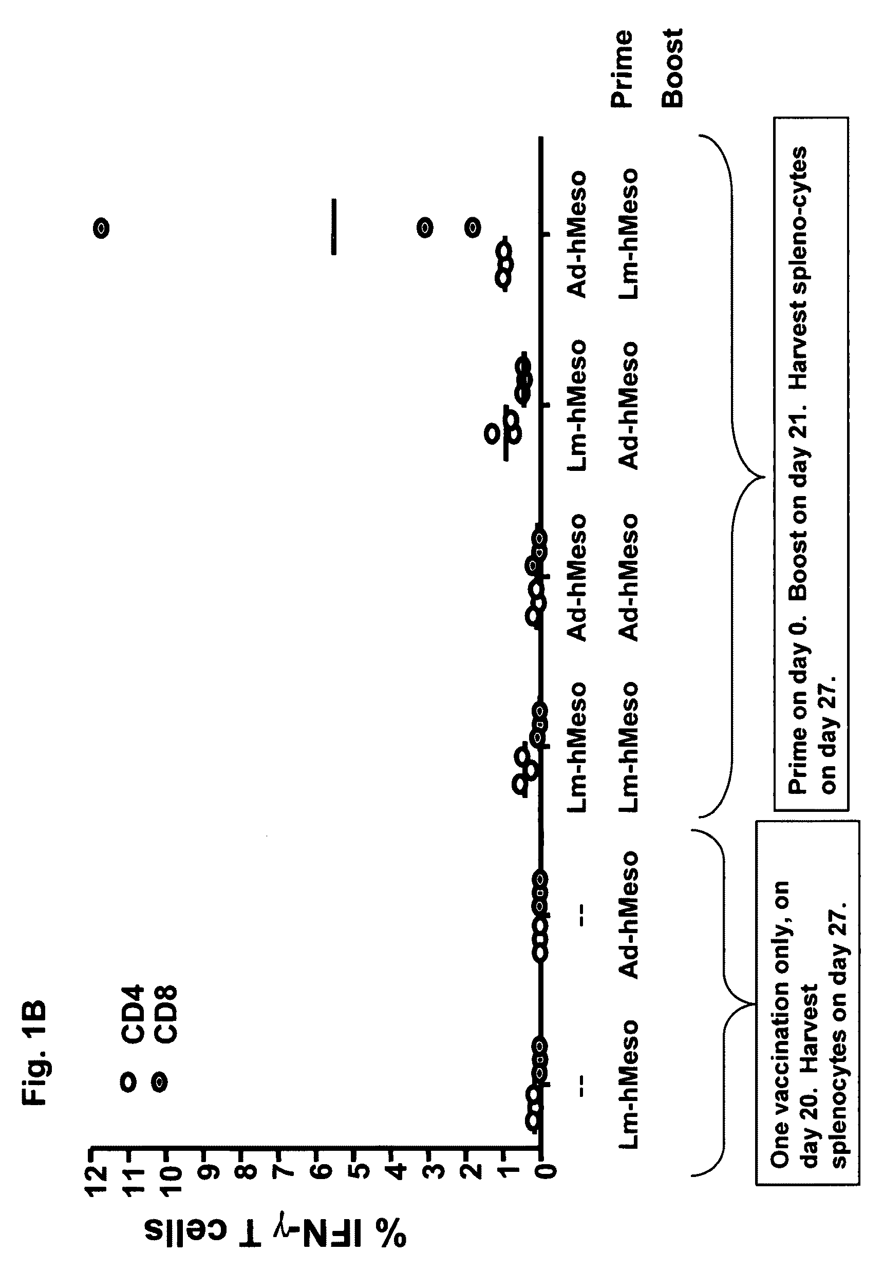 Methods and compositions using <i>Listeria </i>for enhancing immunogenicity by prime boost
