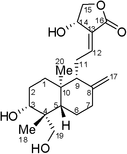 Water-soluble andrographolide derivatives, preparation method thereof and application on medicine