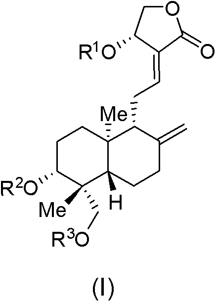 Water-soluble andrographolide derivatives, preparation method thereof and application on medicine