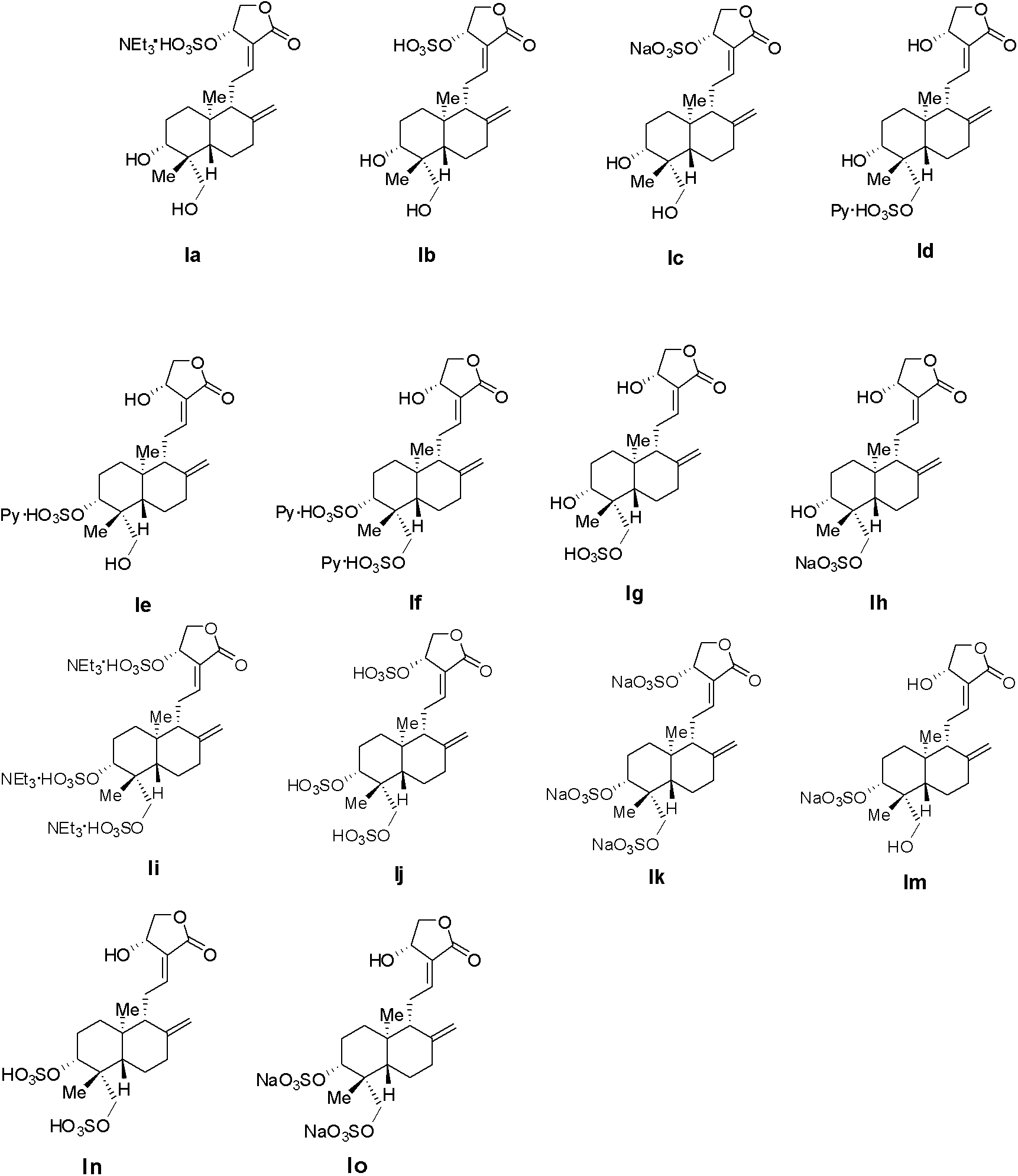 Water-soluble andrographolide derivatives, preparation method thereof and application on medicine