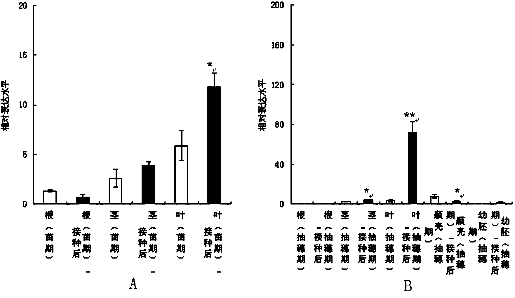 Protein associated with sesquiterpene synthesis and encoding gene and application thereof
