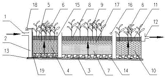 Combined-flow artificial wetland system for enhanced treatment of eutrophic water body