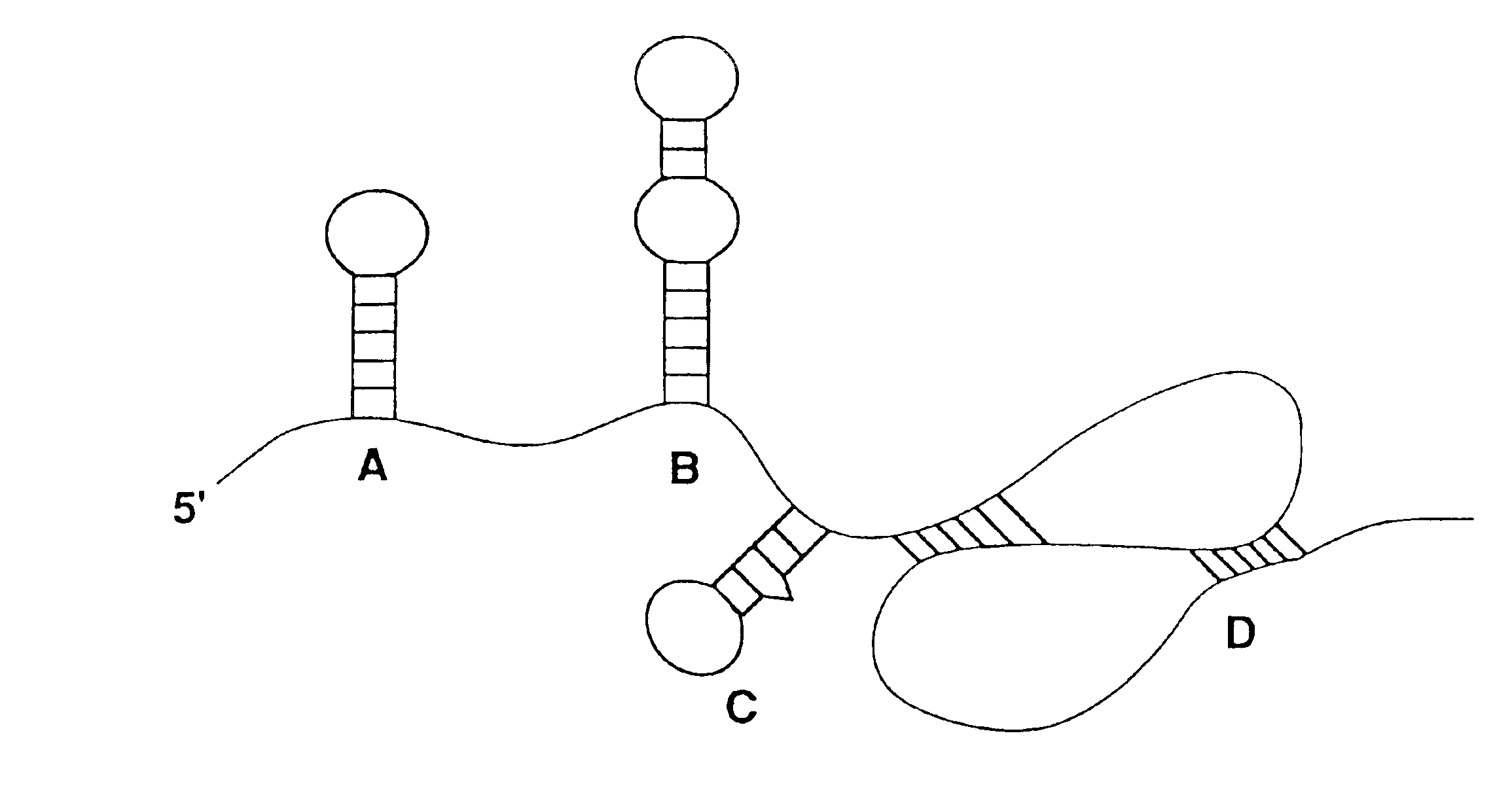 Nucleic acid ligand binding site identification