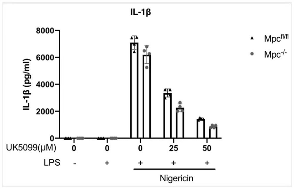 NLRP3 inhibitor