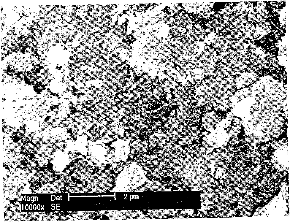 Method for purifying and processing attapulgite clay mineral