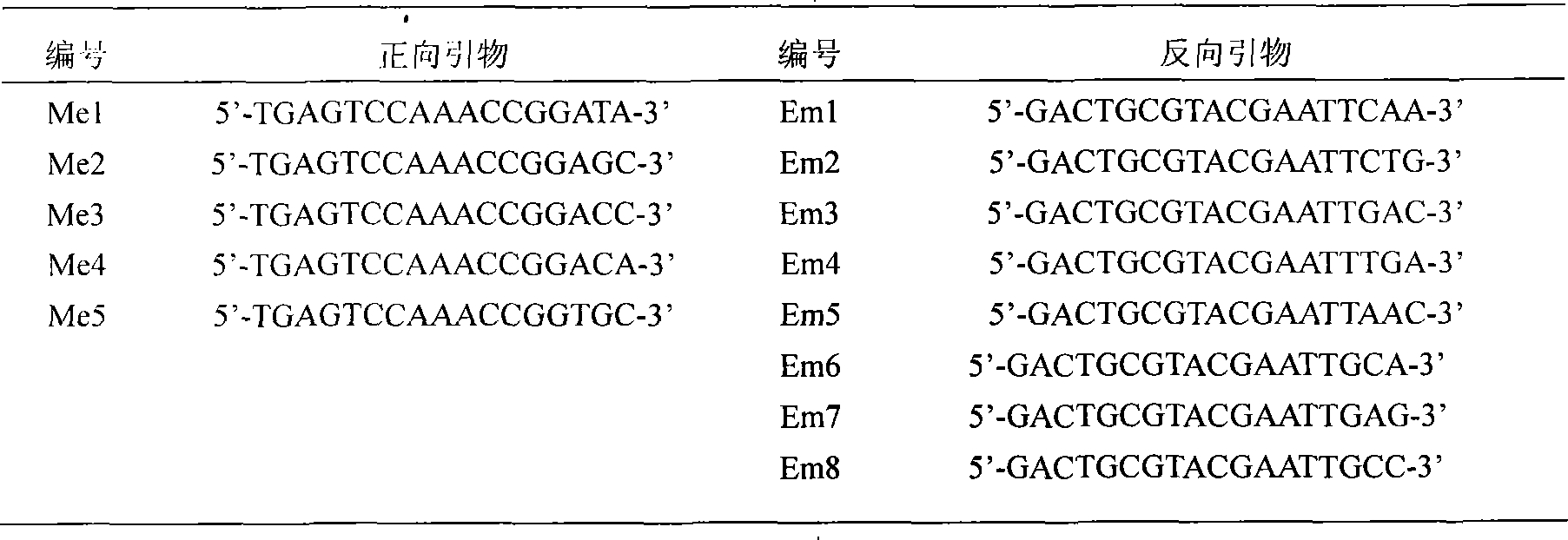 Molecule identification method for Qingdao zoysia japonica and zoysia matrella filial generation authenticity